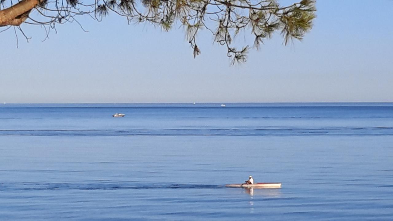Appart Bleu Azur Saint-Florent  Eksteriør bilde